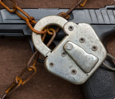 Environmental Law Course